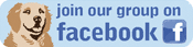 Join the Golden Bond Rescue Facebook Group