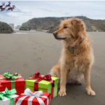 Christmas - Ursa_001