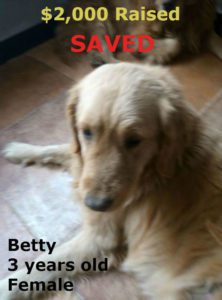 Betty SAVED captions