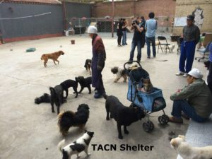 TACN shelter caption