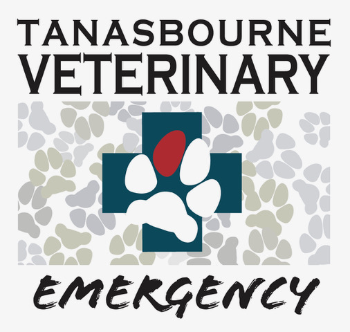 1-A-Tanasbourne-ER-Logo
